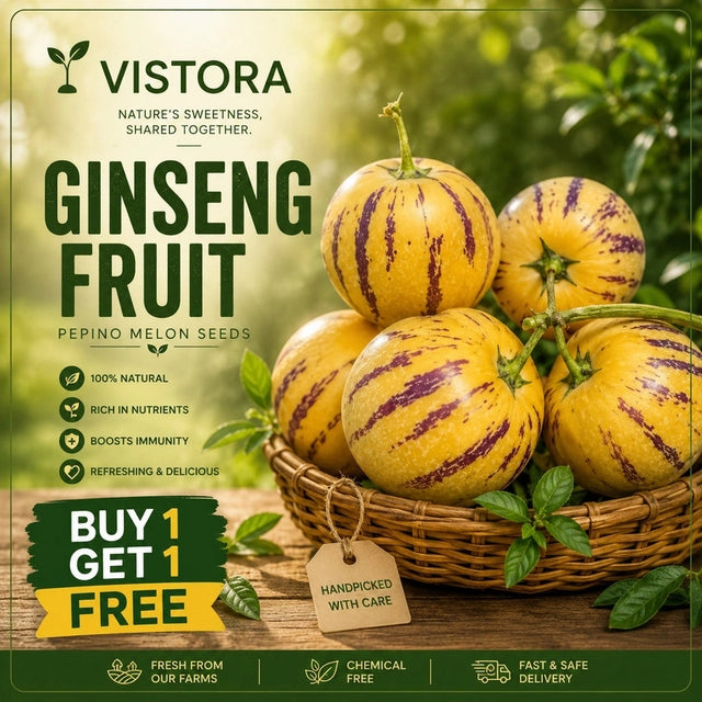 ๐ Buy 1 Get 1 Free ๐ GINSENG FRUIT PEPINO MELON SEEDS